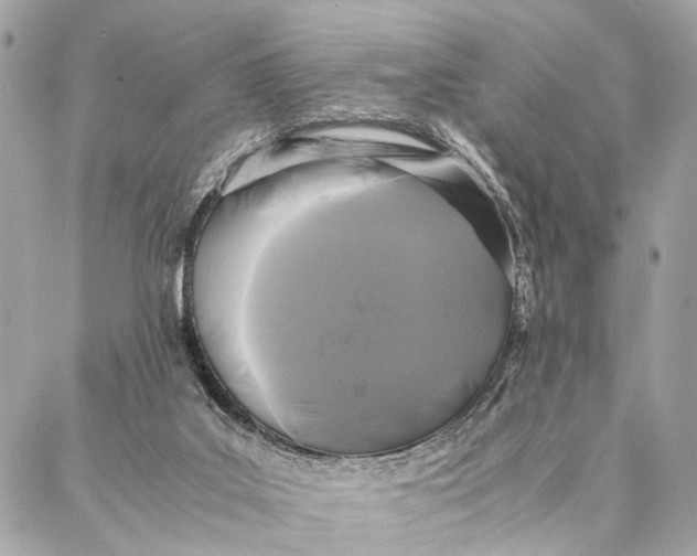 X0000086920019200705071339