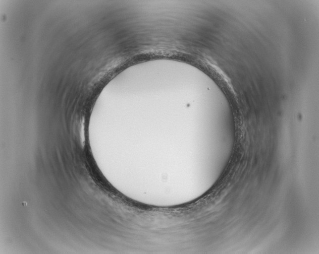 X0000086920020200705071339