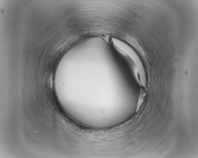 X0000086920021200705071339