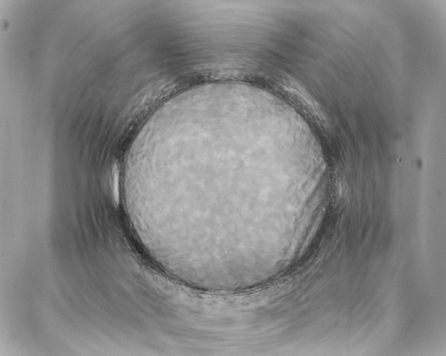 X0000086920022200705071339