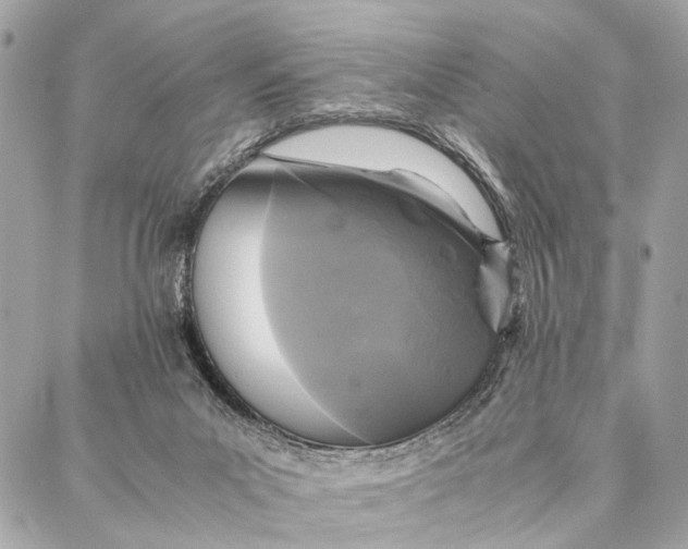 X0000086920023200705071339