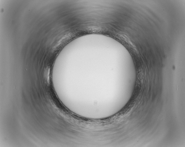 X0000086920024200705071339