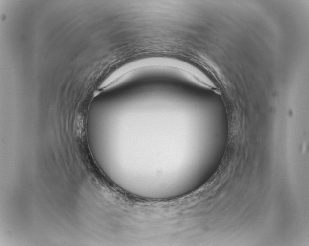 X0000086920025200705071339