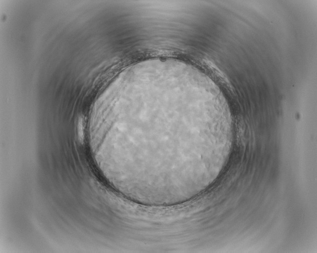 X0000086920026200705071339