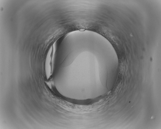 X0000086920027200705071339