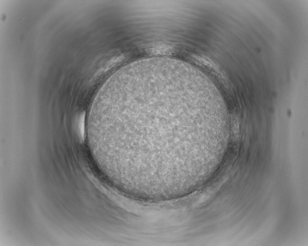 X0000086920028200705071339