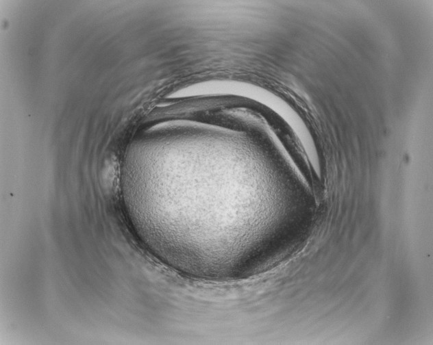 X0000086920029200705071339