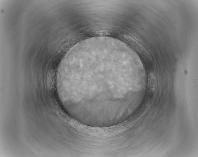 X0000086920030200705071339