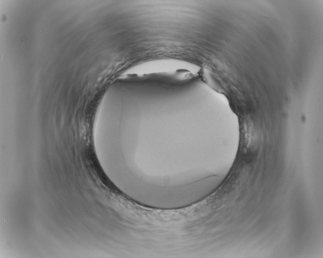 X0000086920031200705071339