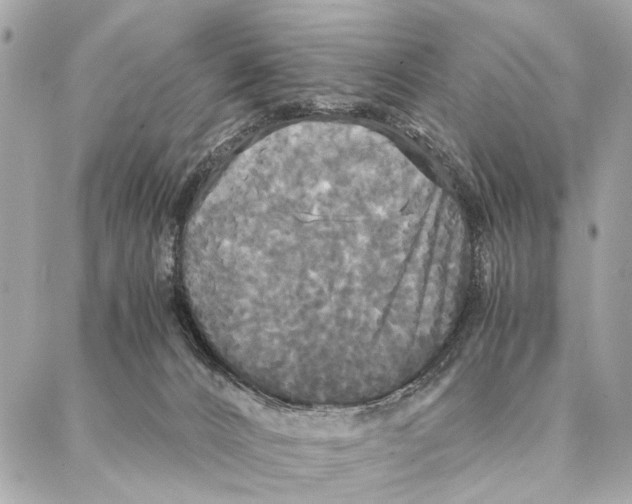 X0000086920032200705071339