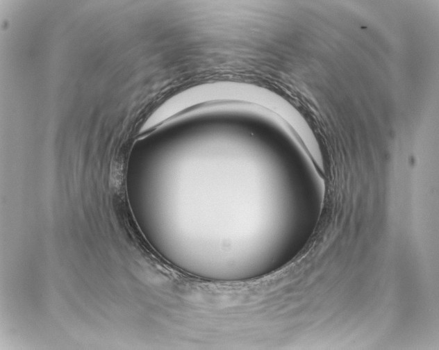 X0000086920033200705071339