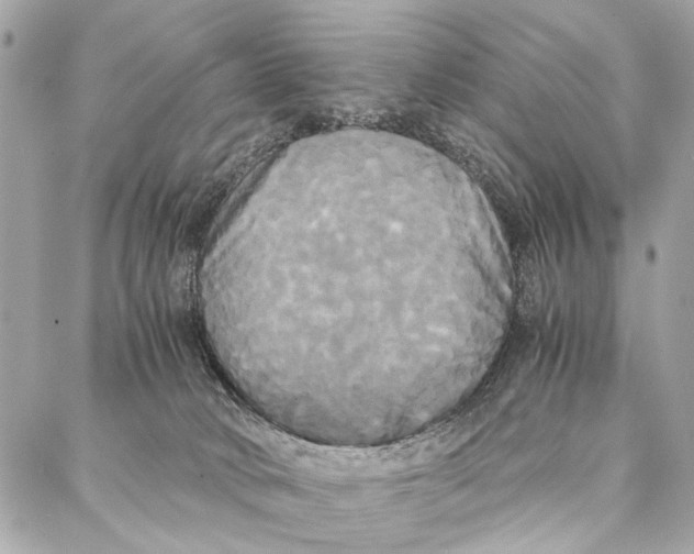 X0000086920034200705071339