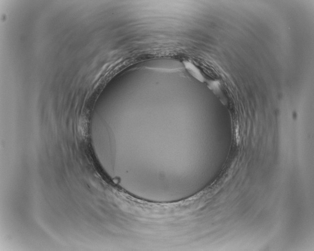 X0000086920035200705071339