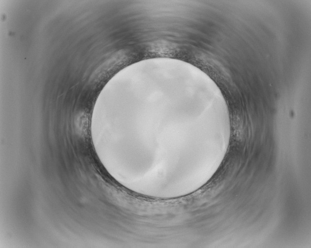 X0000086920036200705071339