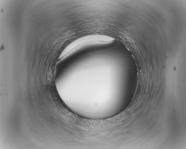 X0000086920037200705071339