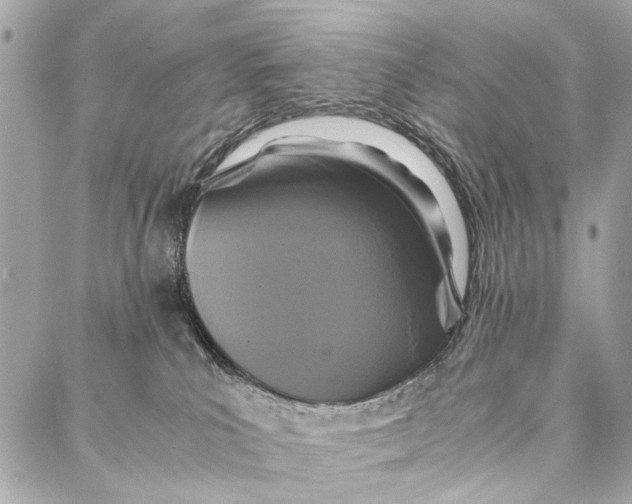 X0000086920039200705071339