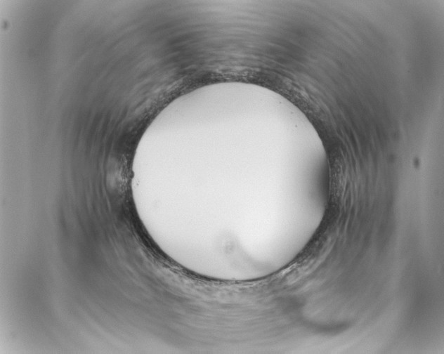 X0000086920040200705071339