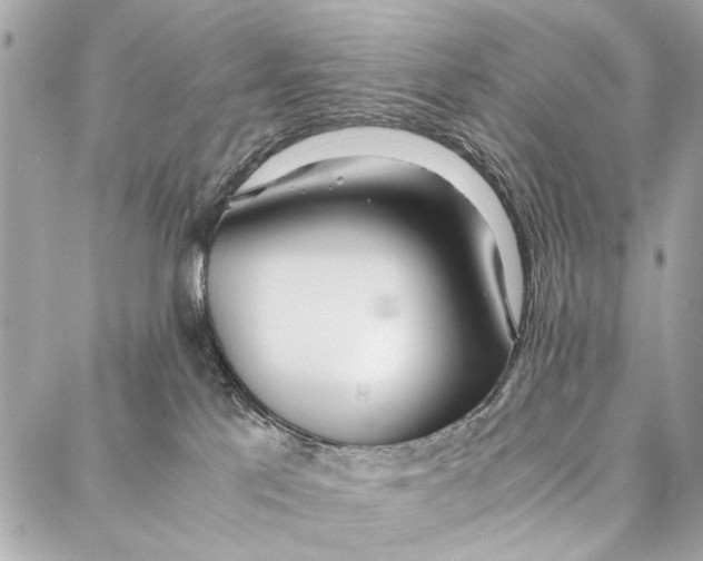 X0000086920041200705071339