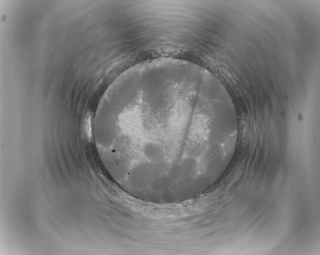 X0000086920042200705071339