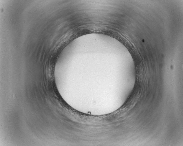 X0000086920044200705071339