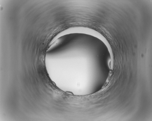 X0000086920045200705071339