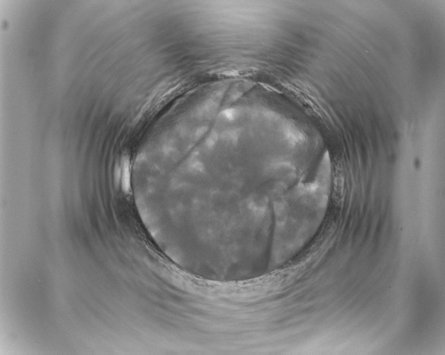 X0000086920046200705071339