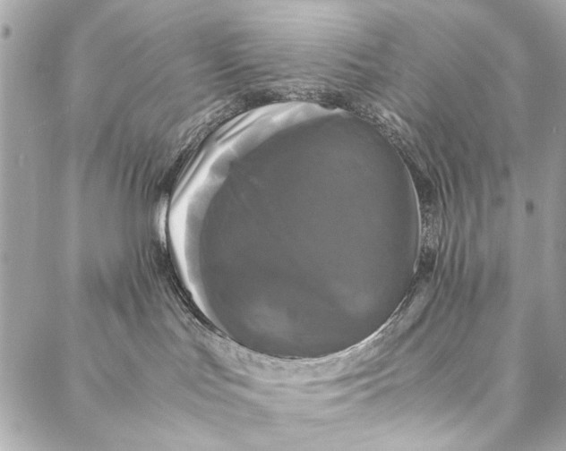 X0000086920047200705071339