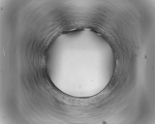 X0000086920048200705071339