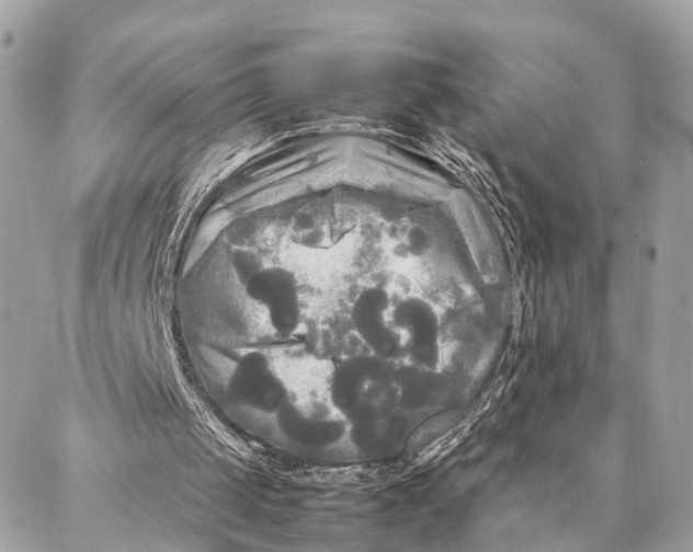 X0000086920049200705071338