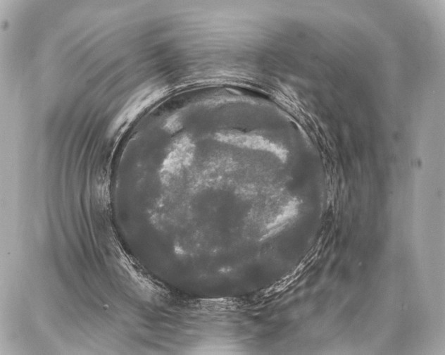 X0000086920050200705071338