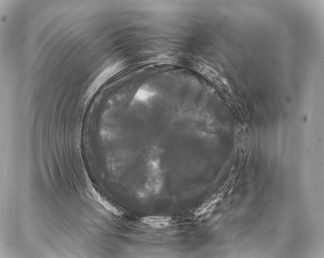 X0000086920051200705071338