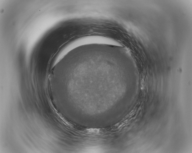 X0000086920052200705071338