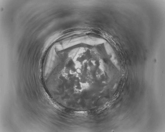 X0000086920053200705071338