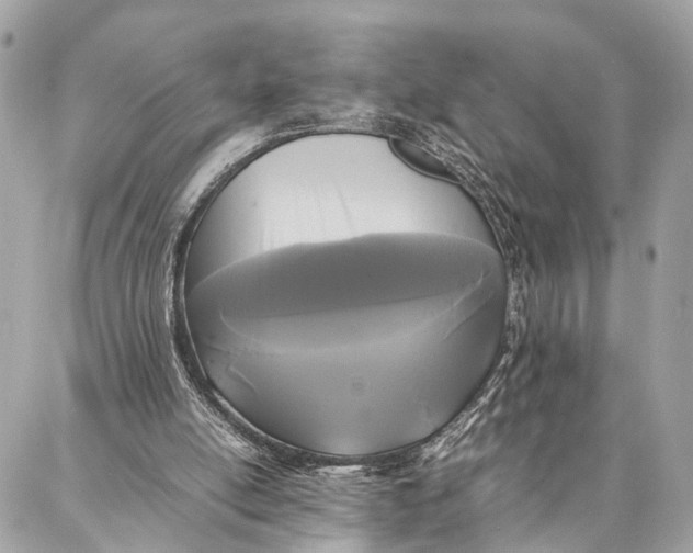 X0000086920054200705071338