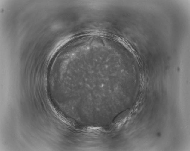 X0000086920055200705071338