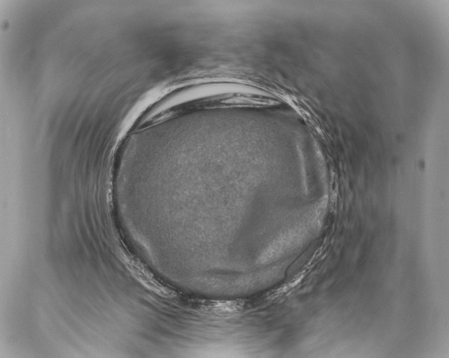 X0000086920056200705071338