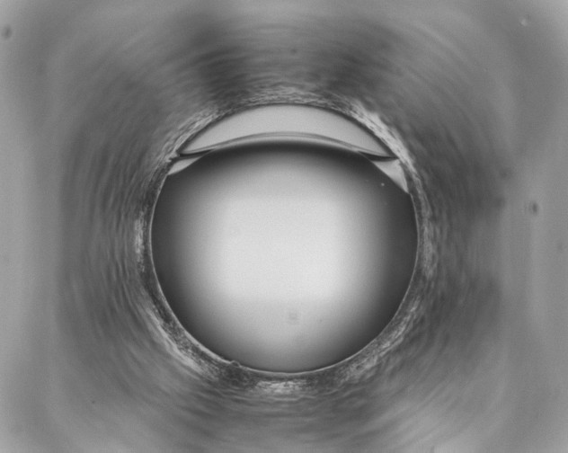 X0000086920057200705071338