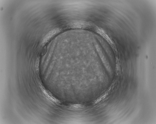 X0000086920058200705071338