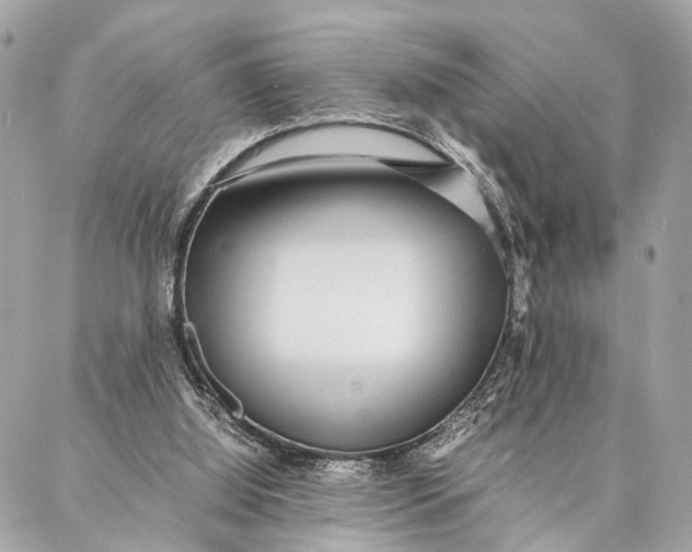 X0000086920060200705071338