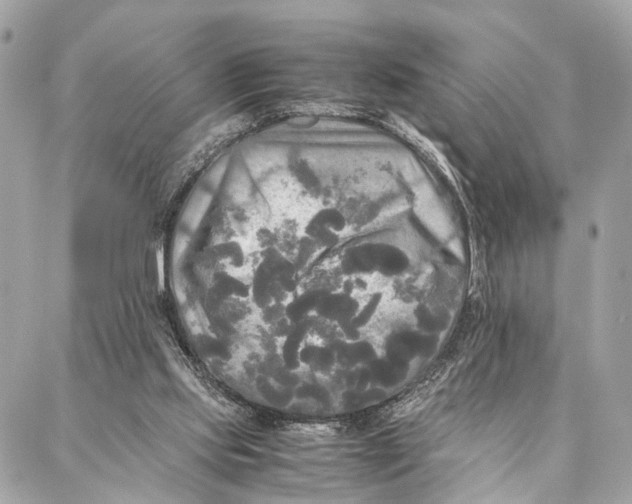 X0000086920061200705071338