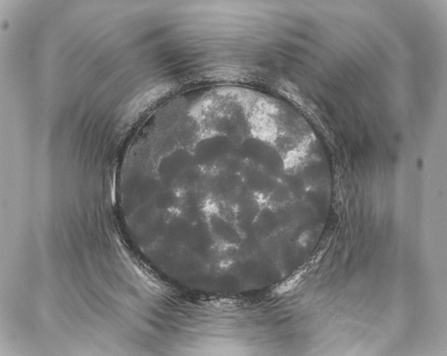 X0000086920062200705071338