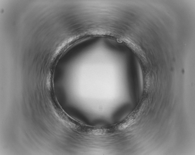 X0000086920064200705071338