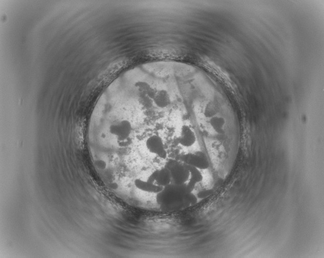 X0000086920065200705071338