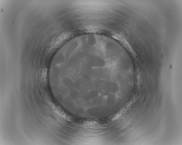 X0000086920066200705071338