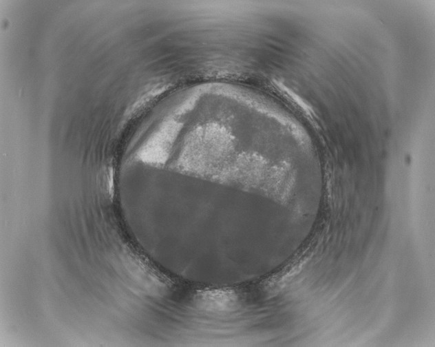 X0000086920067200705071338