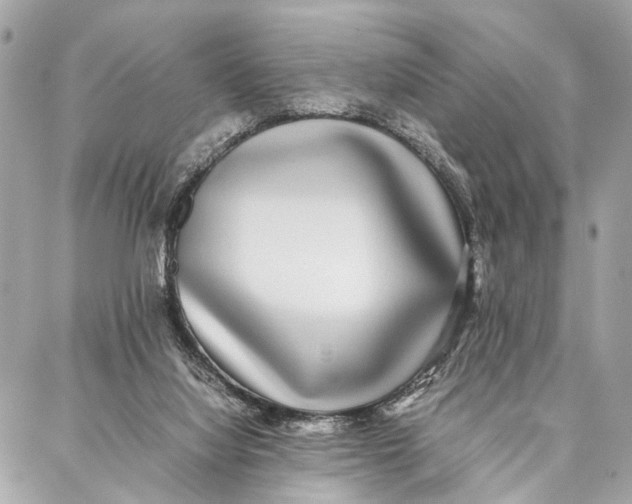 X0000086920068200705071338