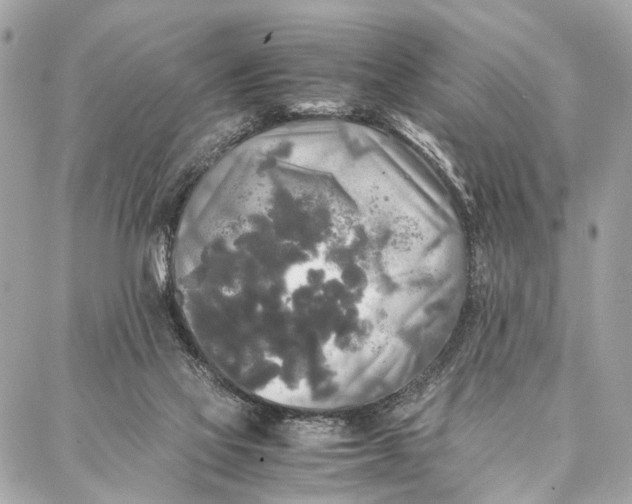 X0000086920069200705071338