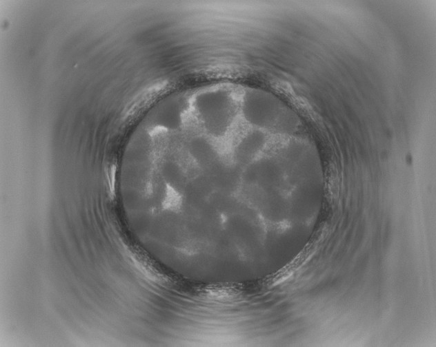 X0000086920070200705071338