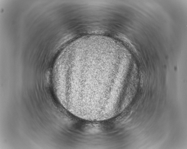 X0000086920071200705071338