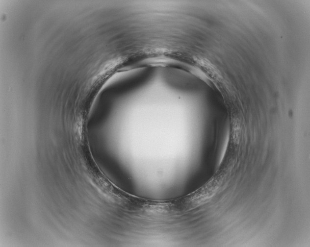 X0000086920072200705071338